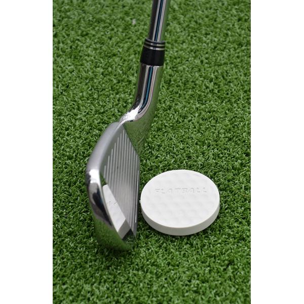 Izzo Flatball Swing Training Aid