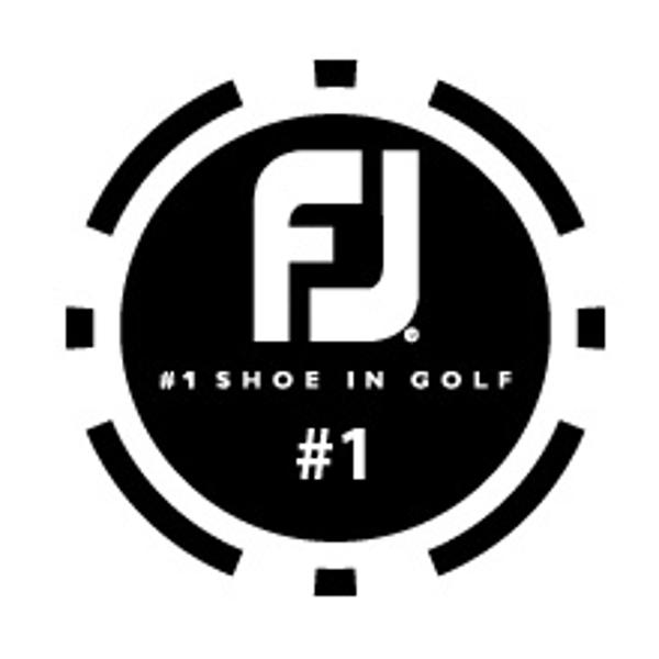 Fj poker chip