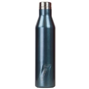 Ecovessel Aspen Insulated Bottle