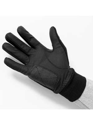Longridge Ladies Dri Max Winter Gloves (Pair)