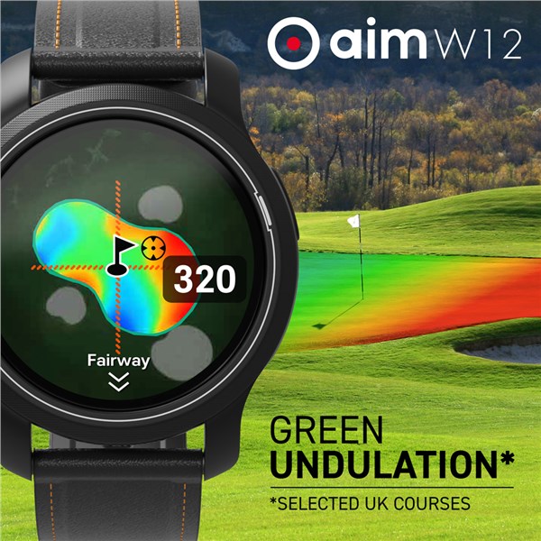 golfbuddy aim w12 ex12
