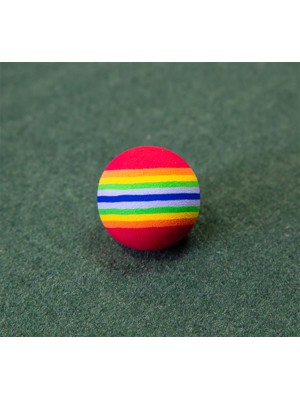 Foam Multi Coloured Practice Balls (6 Balls)