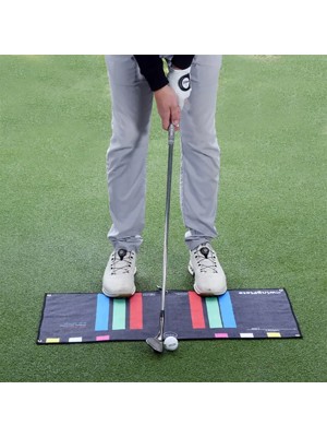 The Swing Plate Towel