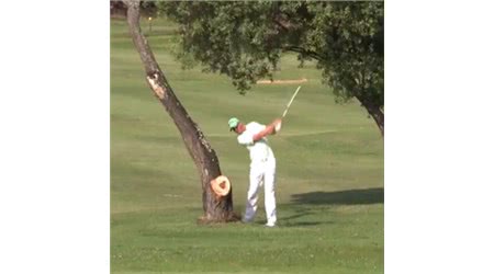 Pro Golfer Ricochets Ball off Tree Straight into His Nether Region