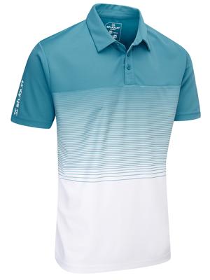 Dalton McCrary's Straight Talking Golf DVD | GolfOnline