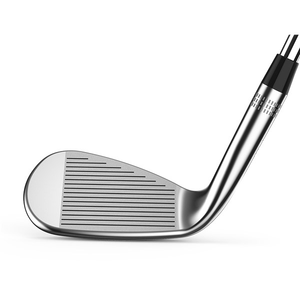staff model wedge ext5