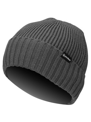 TaylorMade Beanie Hat