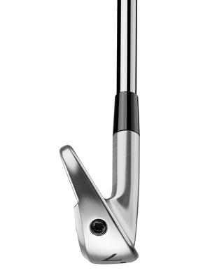 TaylorMade P770 Irons