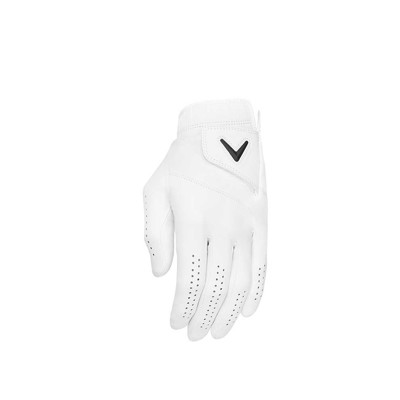 tour authentic w ex2