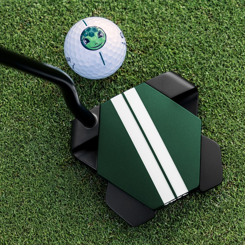 TRTL DB lined up with a turtle-logo ball