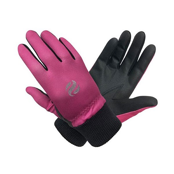 Ladies Winter Gloves (Pairs)