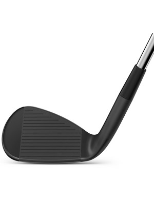 Wilson Infinite Wedge