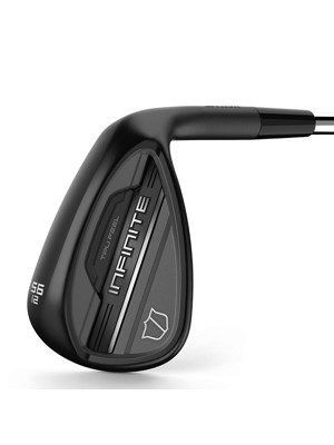 Wilson Infinite Wedge