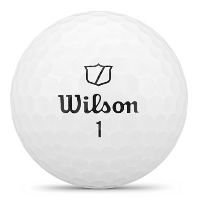 wg2009001 ex2