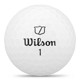 wg2009001 ex2