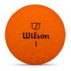 wg2009106 4dz ex5