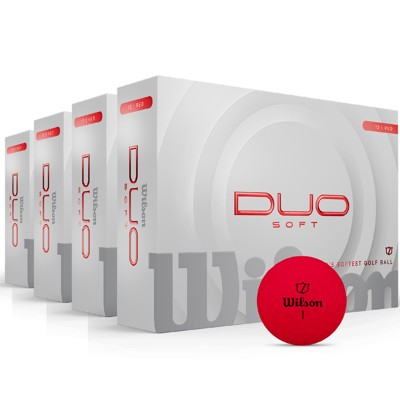 wg2009107 4dz ex1