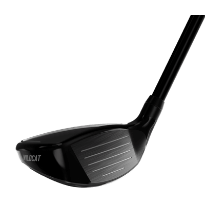 wildcat hybrid toeface 001