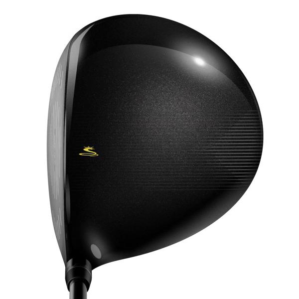 Cobra XL Speed 11 Piece Golf Package Set (Steel/Graphite)