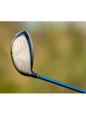 XXIO 13 Driver