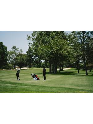 Srixon ZXiR HL Irons (Graphite Shaft)